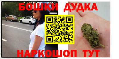 PSILOCYBIN Моздок