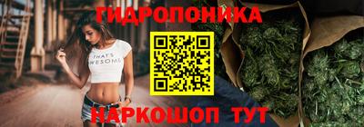 ALPHA-PVP Можга