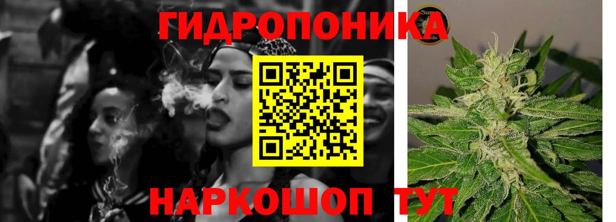 Хасавюрт  Конопля White Widow  Конопля MAZAR  Вход с VPN  Бошки марихуана VHQ 